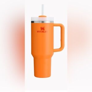 NWT Quencher H2.0 FlowState Tumbler